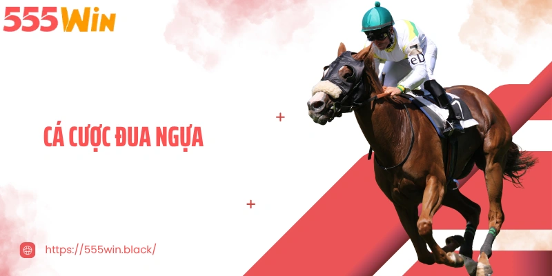 Cá Cược Đua Ngựa 2026 - Kịch Tính Cao Trong Từng Đường Đua