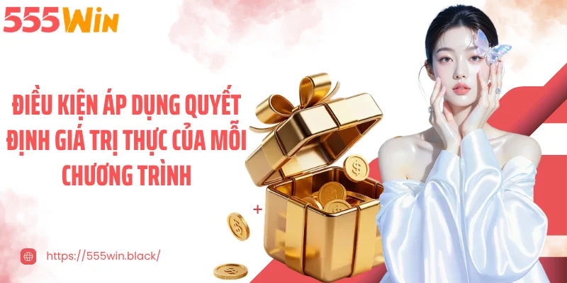 Điều kiện áp dụng quyết định giá trị thực của mỗi chương trình
